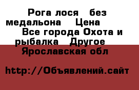 Рога лося , без медальона. › Цена ­ 15 000 - Все города Охота и рыбалка » Другое   . Ярославская обл.